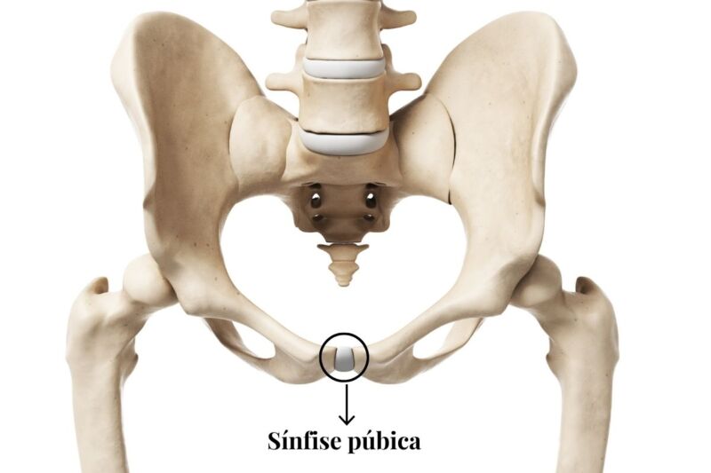 dr-jose-marcelo-ortopedista-especialista-quadril