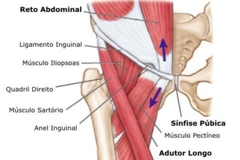 ortopedista-quadril-pubalgia